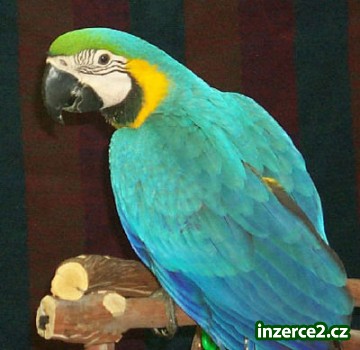 193627_1.jpg