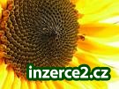 Budete mít víc peněz !_1 224181_1.jpg