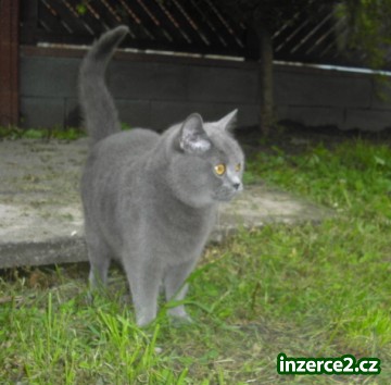 235026_1.jpg