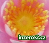 448005_1.jpg