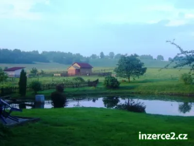 Pronajmu pokoj na malé farmě na Vysočině