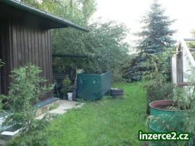 Prodám zahradu s chatkou 550 m2
