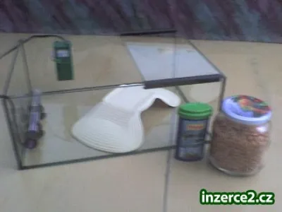 želvárium s výbavou