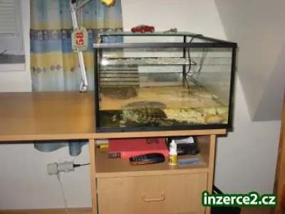 Želvárium