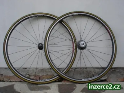 Kola Campagnolo