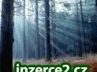 Chybí Vám finance?