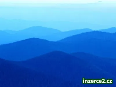 Obchodní spolupráce. Maximální provize.