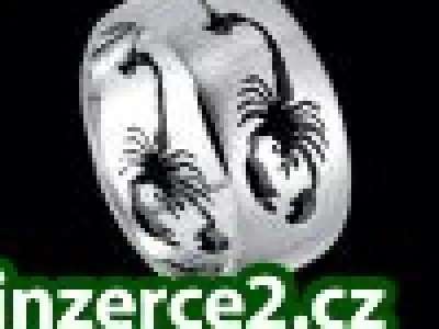 Prstýnek chirurgická ocel -štír