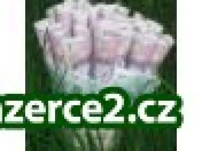 Systematická práce