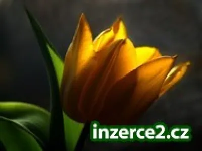 Skvělý výdělek