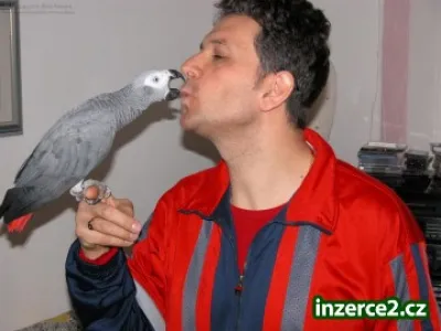 Náhled