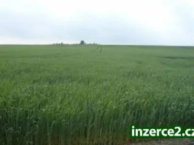 Prodej pozemku v obci Smržov na výstavbu rodinných domů