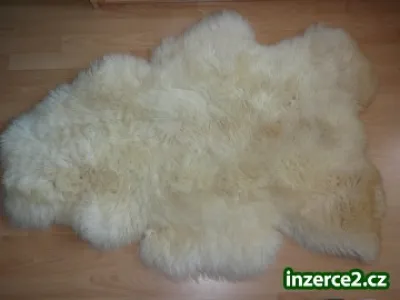Prodám pravou kůži
