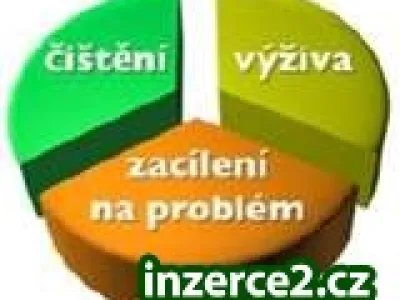 Program Trvalého snížení váhy