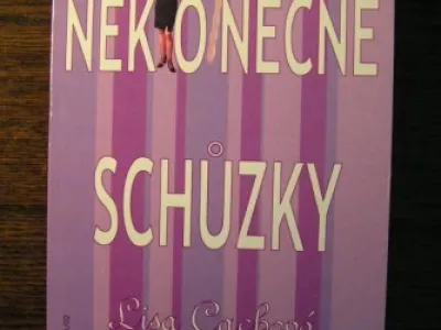 Kniha: Lisa Cachová - Nekonečné schůzky