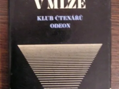 Kniha: Agatha Christieová - Muž v mlze