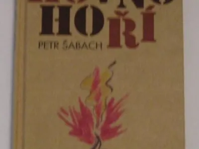 Kniha: Petr Šabach - Hovno hoří