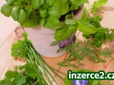 Pracujte s přírodou...