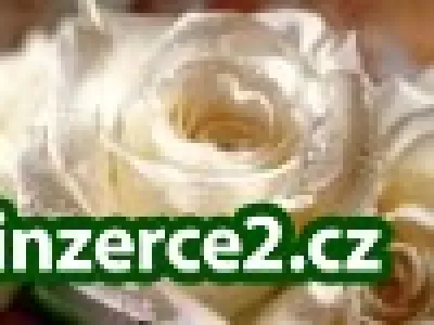Práce vedená z domu i pro maminky