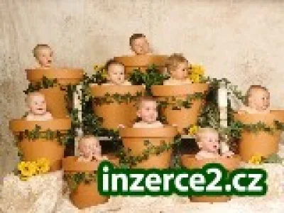 Práce z domova i pro maminky