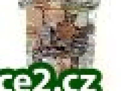 Hledáte přivýdělek z domu 3-6 tis. měsíčně?
