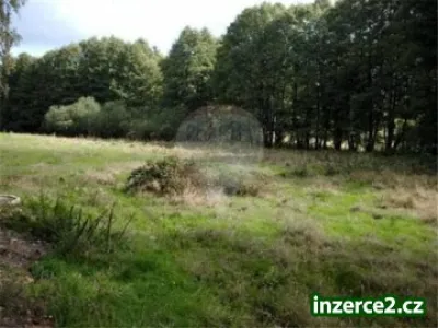 Prodej pozemku 12.700 m2 Vítězná Huntířov
