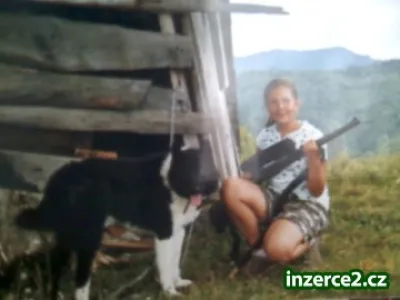 Ruskoevropská lajka