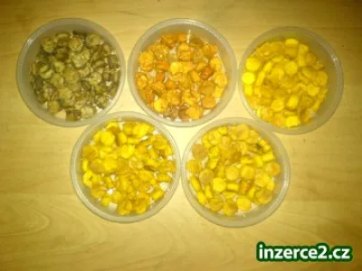 rohlíkový boilies