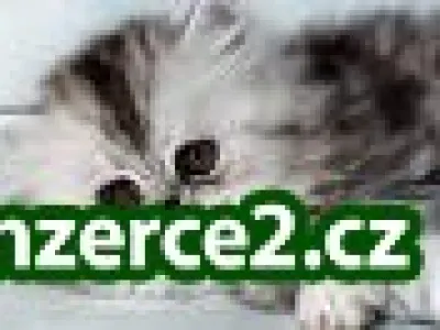 Výdělek z domova