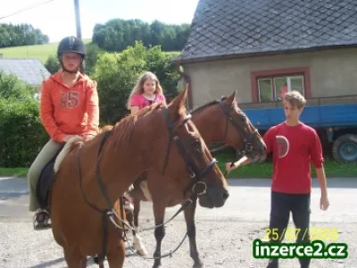 Ranč Mary- pobyty u koní