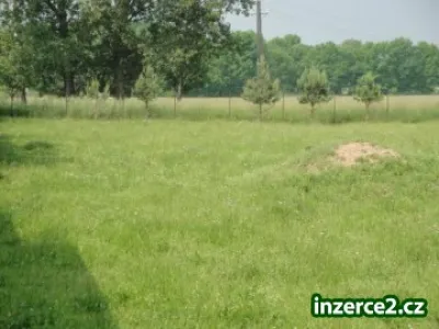Prodej pozemku v Lučicích u Chlumce nad Cidlinou