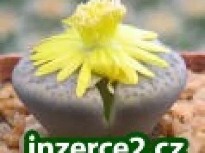 Váš čas je drahý, nehazardujte s ním