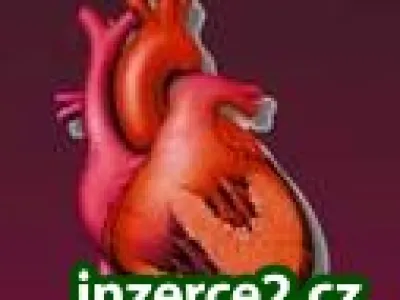 zdravé srdce a cévní soustavu