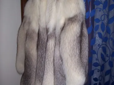 kozich