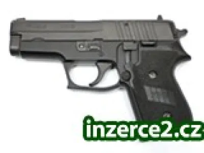 Sig Sauer P 245