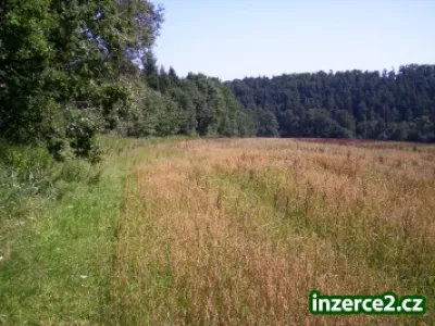 Prodám pole v Ostravě- Plesné o rozl. 7.400m2