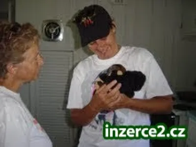 Dvě krásné kapucín opice PRO PŘIJETÍ