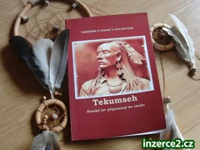 Tekumseh Horský lev připravený ke skoku