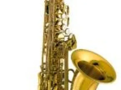 saxofon 3mesice hrany potom vubec