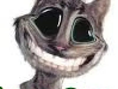 Nebojte se nových věcí!
