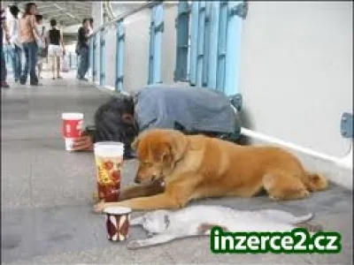 Pociťujete krizi na vlastní kůži?