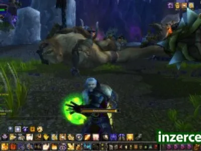 Prodám wow acc 85 lvl paladin aliance