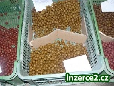 Boilies 18mm