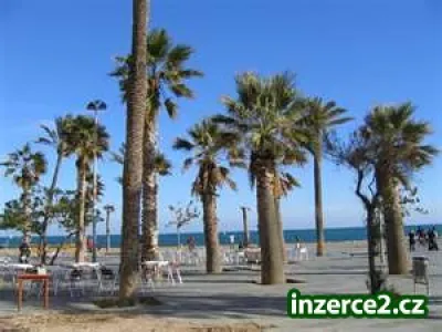 Brigáda v zahraničí - Španělsko, Mallorca, Peguera