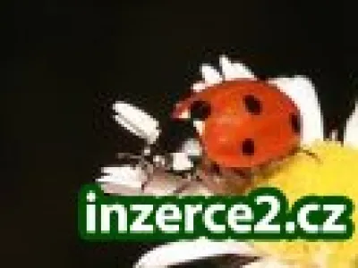 PRÁCE  + ZÁBAVA  + PENÍZE