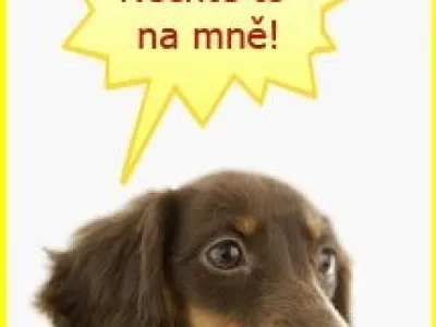 Nabídka která se nedá odmítnout.
