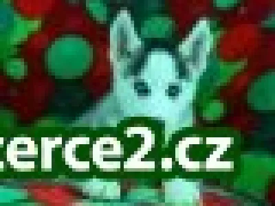 Modré oči sibírsky husky šteňatá k prijatiu