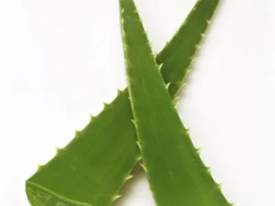 Detoxikace organismu