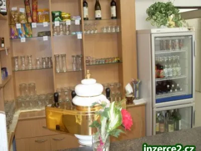 Profi Restaurační lednice