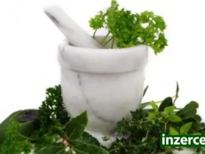 Práce + zdraví + rodina = spolupráce s námi
